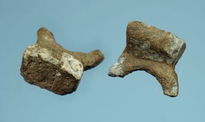 Signettring
Signettring i kobberlegering. Utydelige initialer. Funnet pÃ¥ Bokn av Frode VikshÃ¥land.
