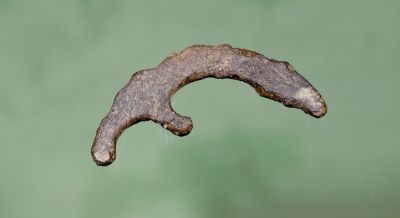 Knekt spenne
Knekt gammel spenne. Bronselegering, antakelig 1600-talls.
Funnet av Kai Abrahamsen.
