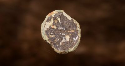 Knapp
Knapp i kobberlegering. Antakelig sÃ¸lvbelagt i sin tid. 1700-talls. Funnet av Kai Abrahamsen.
